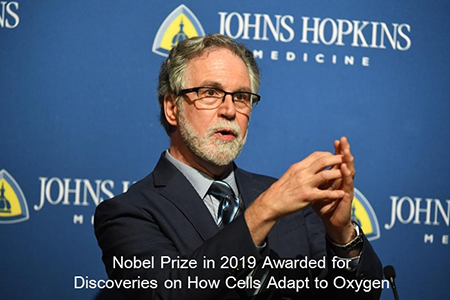Johns Hopkins大学のSemenza教授